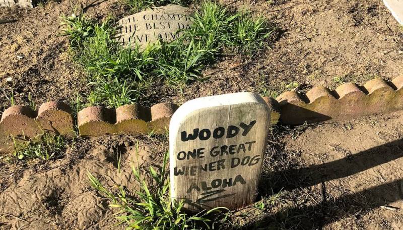 Woody the wiener dog's grave site in the Presidio pet cemetery.