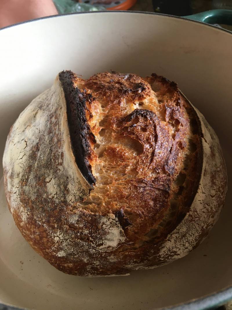 With enough practice, you too can turn sourdough goo into this gorgeous specimen.
