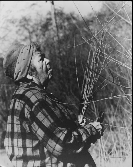 Elsie Allen cutting willow at Warm Springs Dam site, Sonoma County, 1980. 