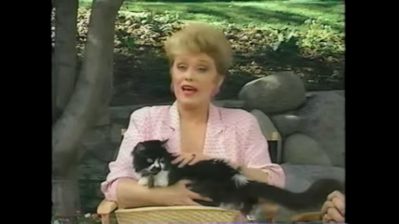 Watch Golden Girl Rue McClanahan's Hilarious 1990 Videos About Pet Care |  KQED