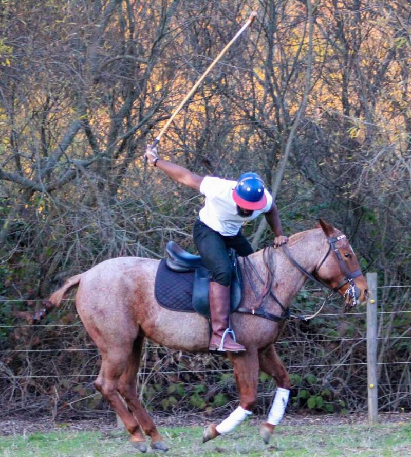 A profile shot of Dale Johnson Jr. on his horse, Sunny, playing polo. 