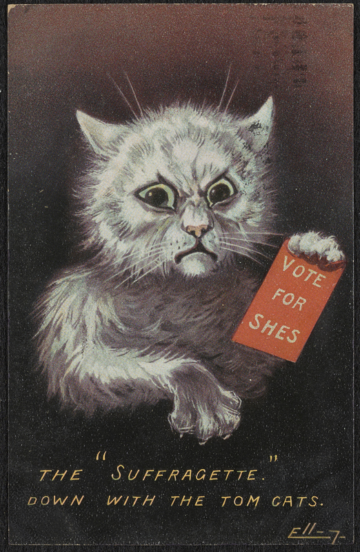 Art depicts a disheveled cat flexing its claws and holding a sign that reads 'VOTE FOR SHES'.
