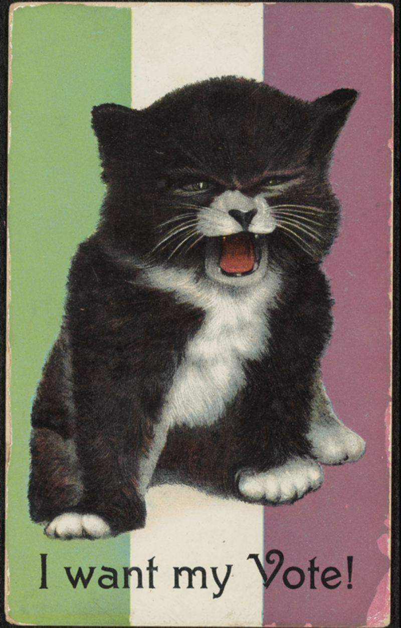 This 1908 postcard features art depicting an angry kitten with text that reads 'I want my vote!' and a background depicting the flag of the British suffrage movement.