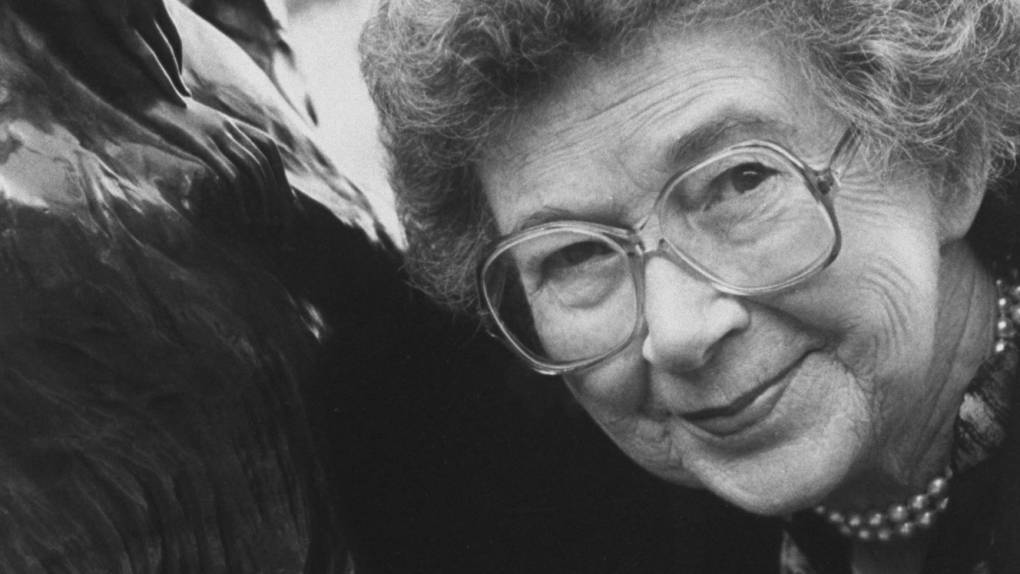 Beverly Cleary is the author behind many beloved characters, including Henry Huggins, Ellen Tebbits, Otis Spofford, and Beezus and Ramona Quimby (as well as Ribsy, Socks and Ralph S. Mouse).