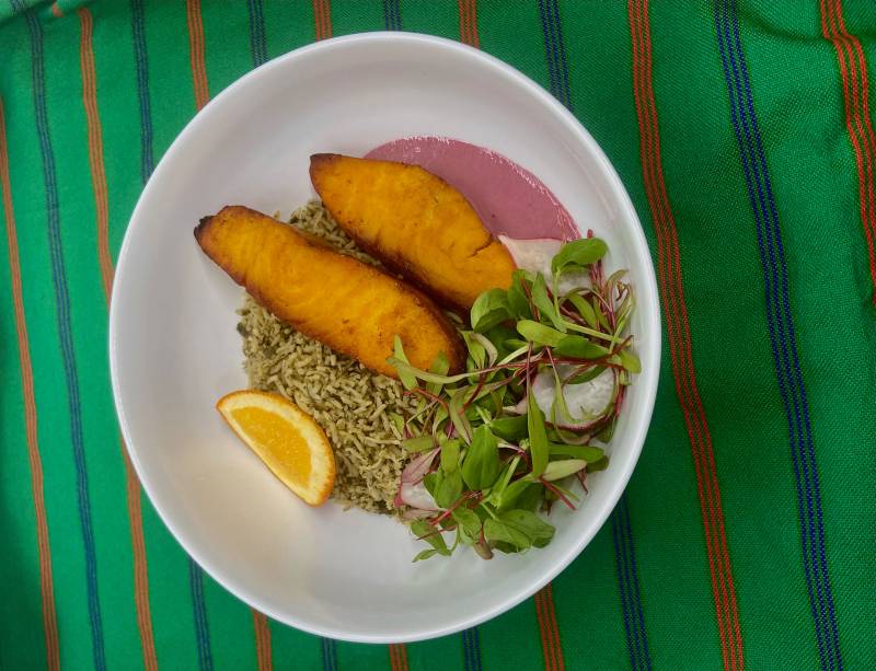 A plate of saffron-glazed smoked surgeon and herbed rice on a white plate