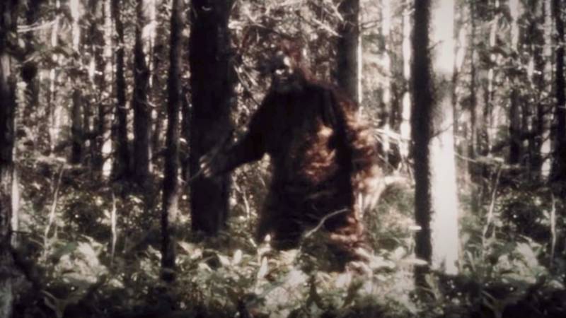 A moment from new documentary series, 'Sasquatch', featuring Bigfoot himself.