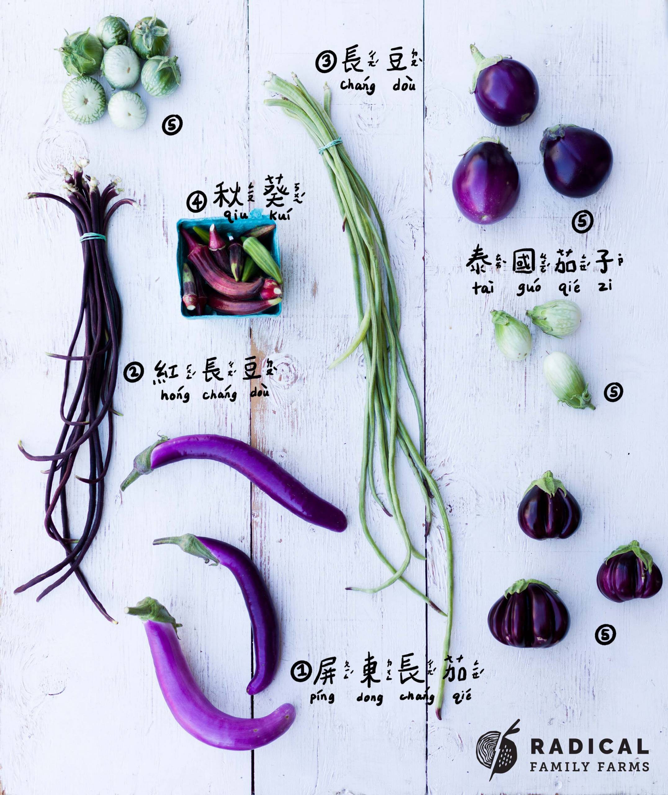 The vegetables from a CSA produce box, including long beans, okra and several varieties of eggplant, arranged artfully on a white wooden board.