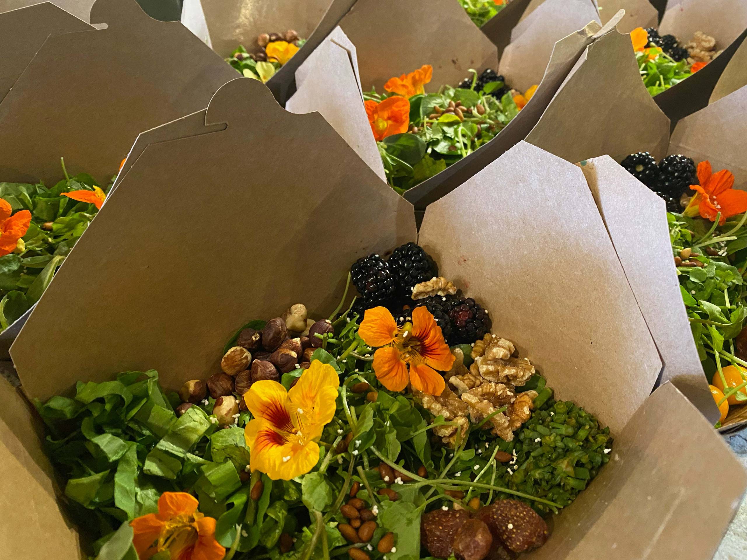 An Ohlone salad in a cardboard takeout box, with bright orange edible flowers and locally gathered greens and nuts.