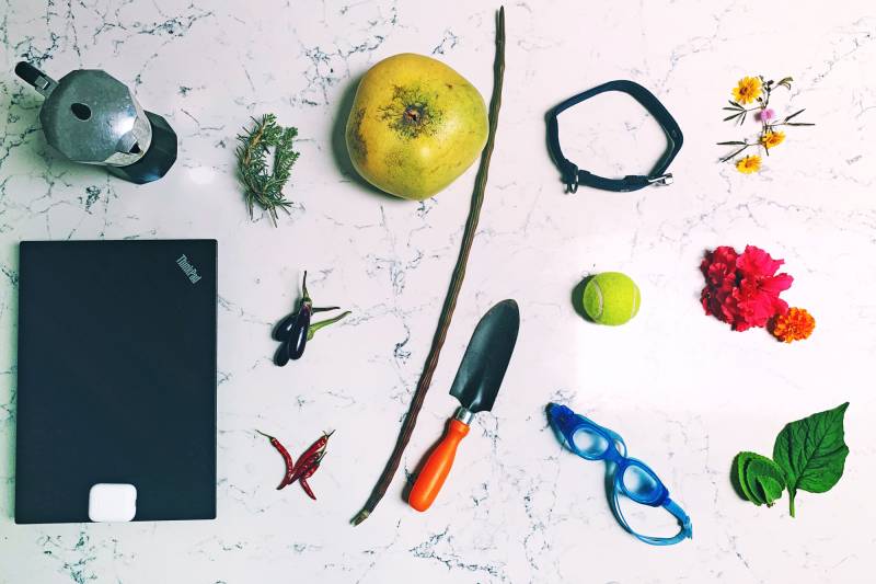 Items, left to right: Coffee pot, rosemary and thyme, laptop with Airpods, eggplants, chili peppers, pomelo, drumstick, trowel, dog collar, tennis ball, swim goggles, wildflowers, ajwain leaves and spinach.