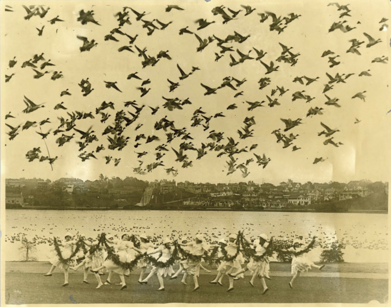 Girls dance, while ducks fly overhead at Lake Merritt's Annual Duck Festival, New Year's Day 1923.