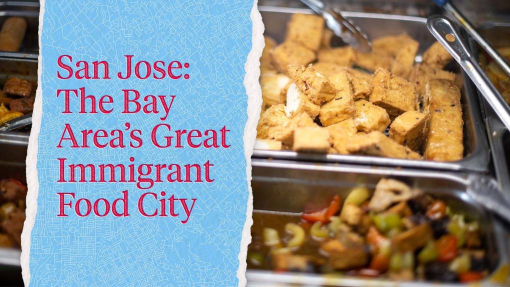 A steamer tray full of freshly fried tofu, as part of a buffet-style display. Text on the left reads, "San Jose: The Bay Area's Great Immigrant Food City."