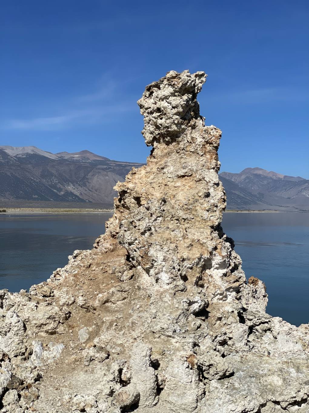 A piece of tufa that looks like the side profile of a warrior.