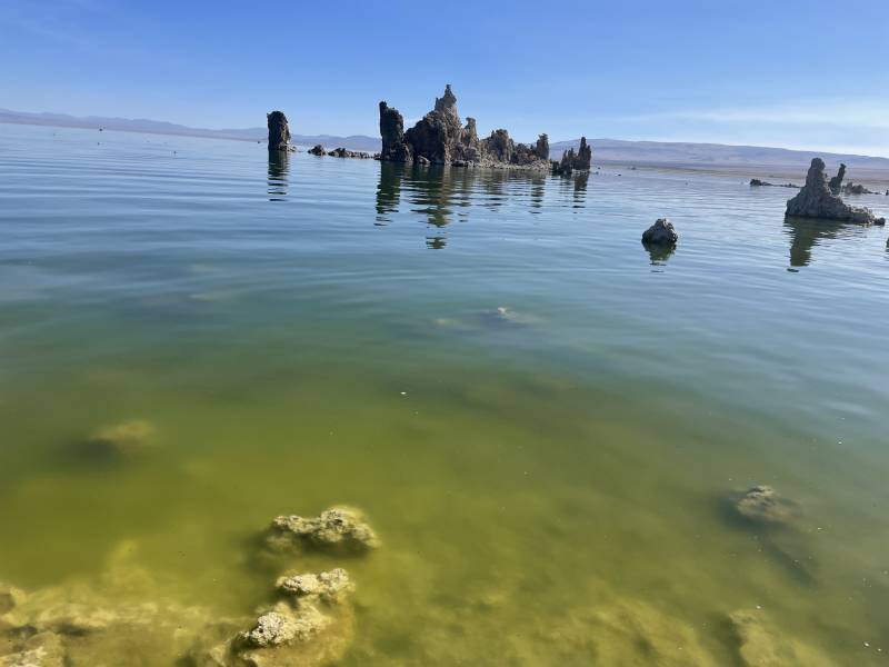 The salt water and fresh water of Mono Lake create a blueish green tint. 