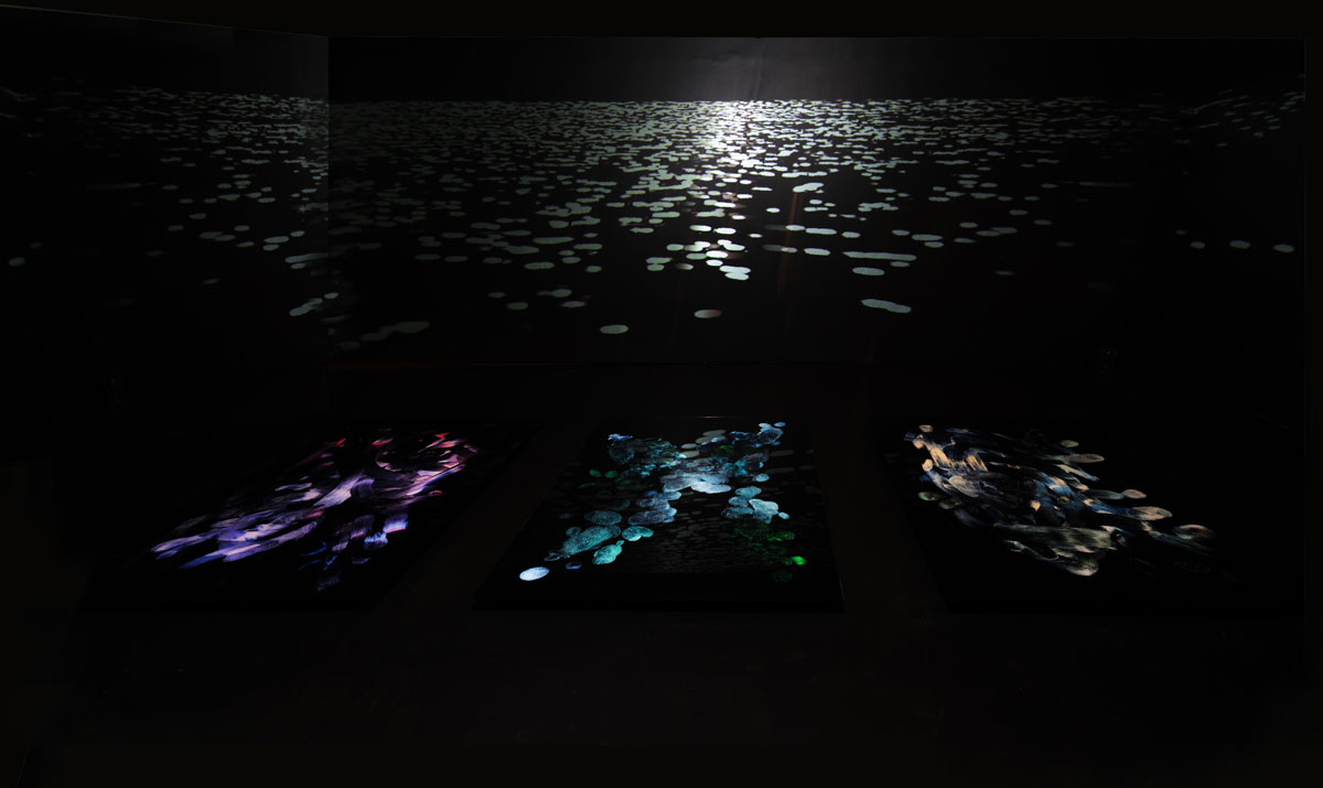 Projected video of moonlight on a lake with three large photographs of fingerprints on the floor.