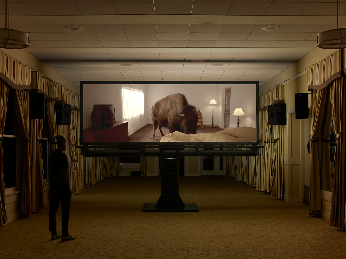 Video screen in a formal hall shows a bison in a hotel room.