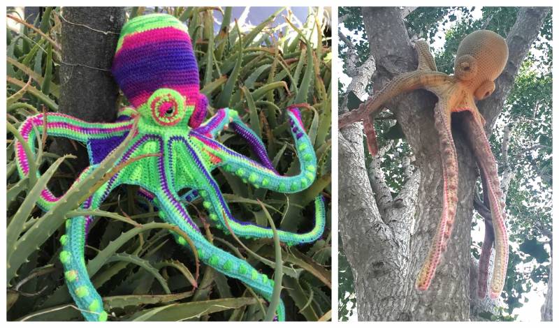 Left: A luminous green, yellow and purple octopus sits on top of a tangled succulent plant. Right: An orange and yellow octopus sits in a tree, its long tentacles extending down the trunk.