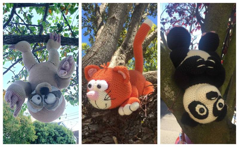 An upside sloth, an orange cat and a black and white panda perch in tree branches around Diamond Heights.