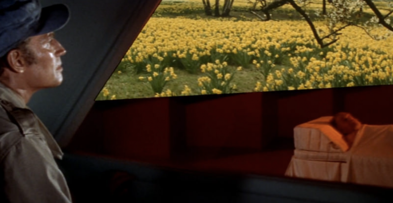 An old man lies on a twin bed under white sheets, watching a movie screen depicting fields of flowers. A younger man watches on from a nearby window.