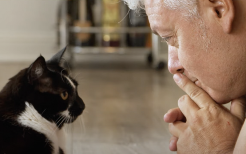 A tuxedo cat stares into the face of his owner, a white man, who stares intently back.