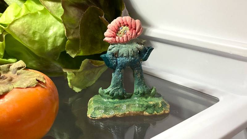 Small figure of flower character on fridge shelf