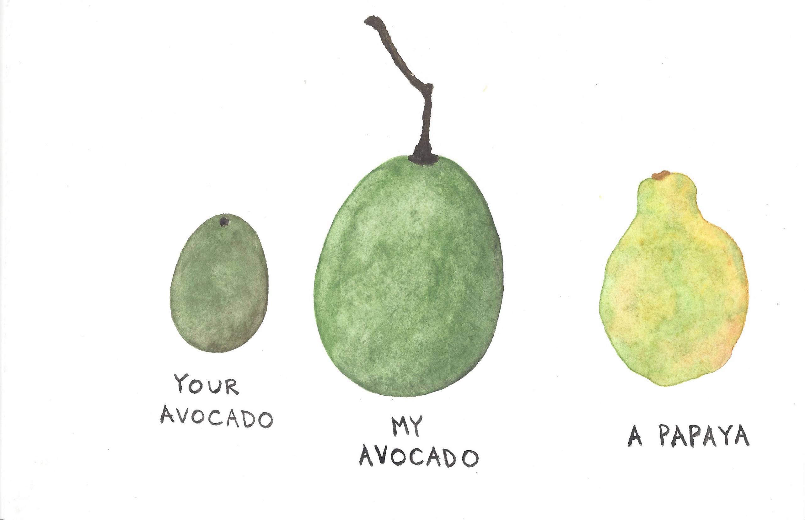 Watercolor painting of three fruits in different sizes and shades of green: "your avocado" (the smallest), "my avocado" and "a papaya."