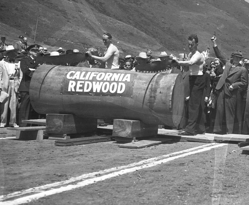 Two men wearing black slacks and white tanks ready themselves to saw a very large tree trunk. The trunk is labeled 'CALIFORNIA REDWOOD.' A crowd watches on.