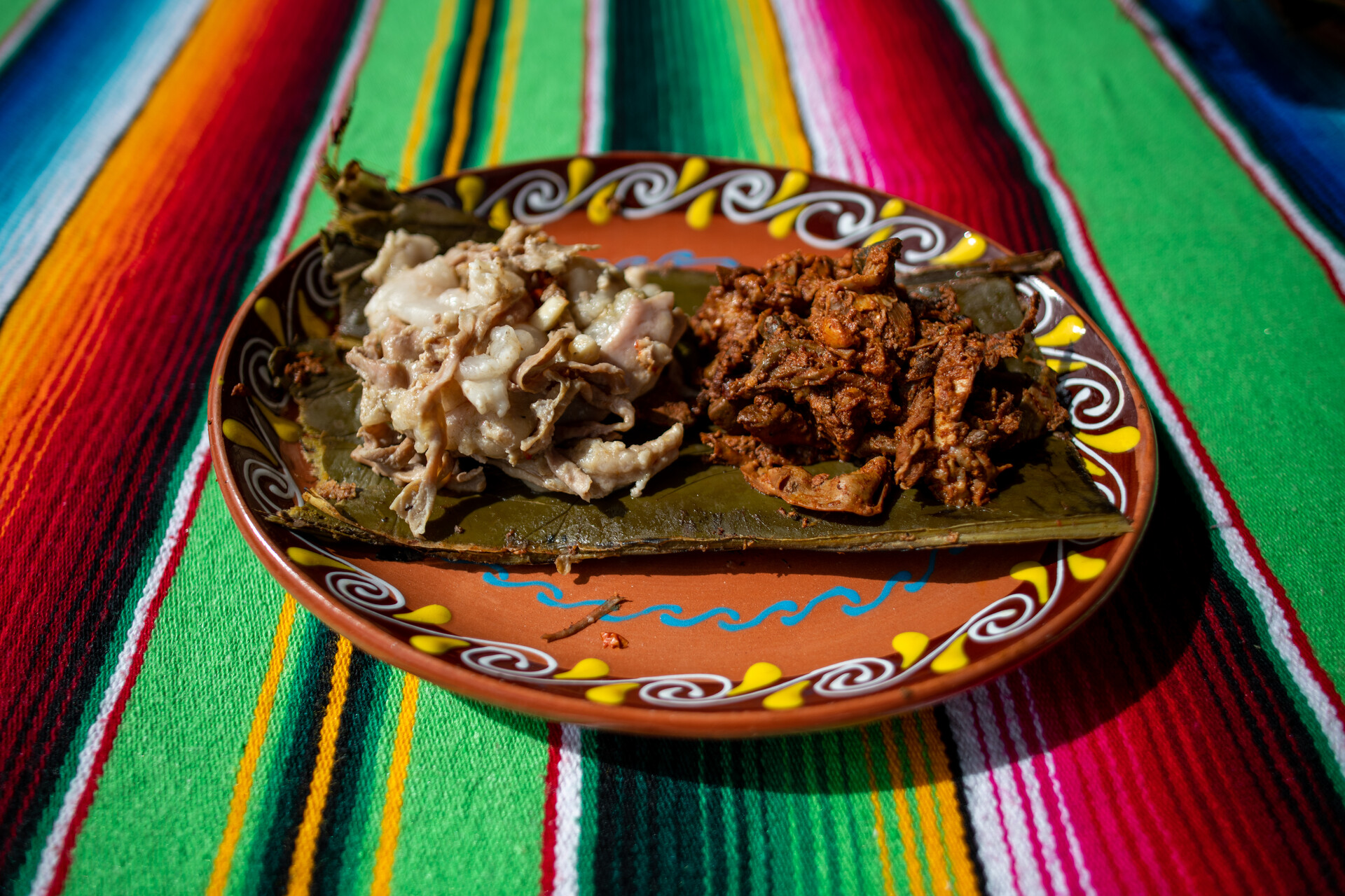 A plate of barbacoa, white on one side, red on the other, on a rainbow striped tablecloth.