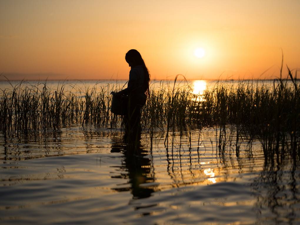 The silhouette of a young girl is seen wading in shallow waters, as the sun goes down on the horizon behind her.