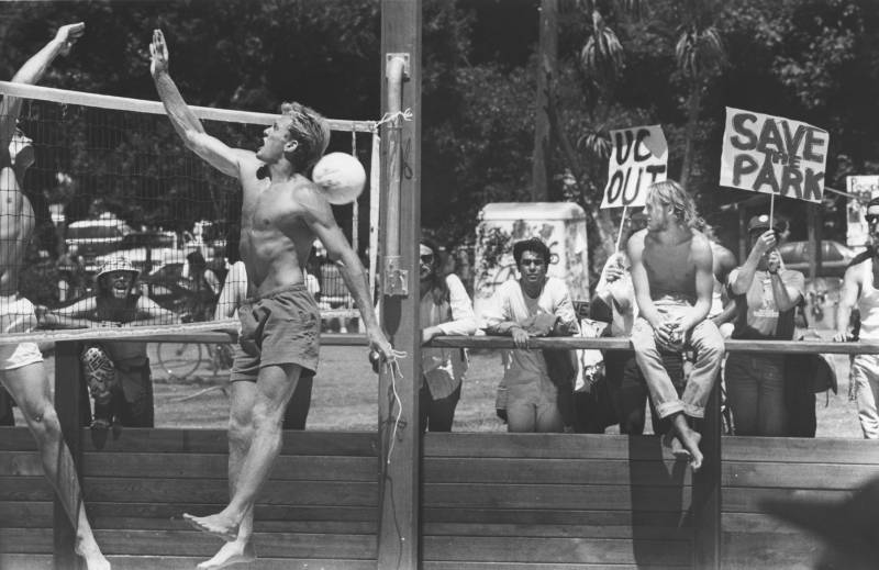 On the left of the image a vigorous volleyball game played by shirtless men in short shorts. On the right, a small group of protesters holds up signs that read 'UC Out' and 'Save the Park.'