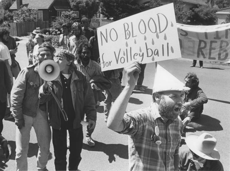 A man wearing a pointed paper hat and holding up a sign that reads 'No blood for volleyball' leads a group of young people. Two are shouting into a megaphone.
