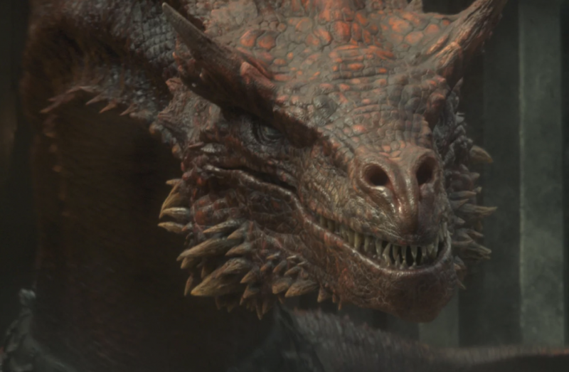 Close up on the face of a dragon.