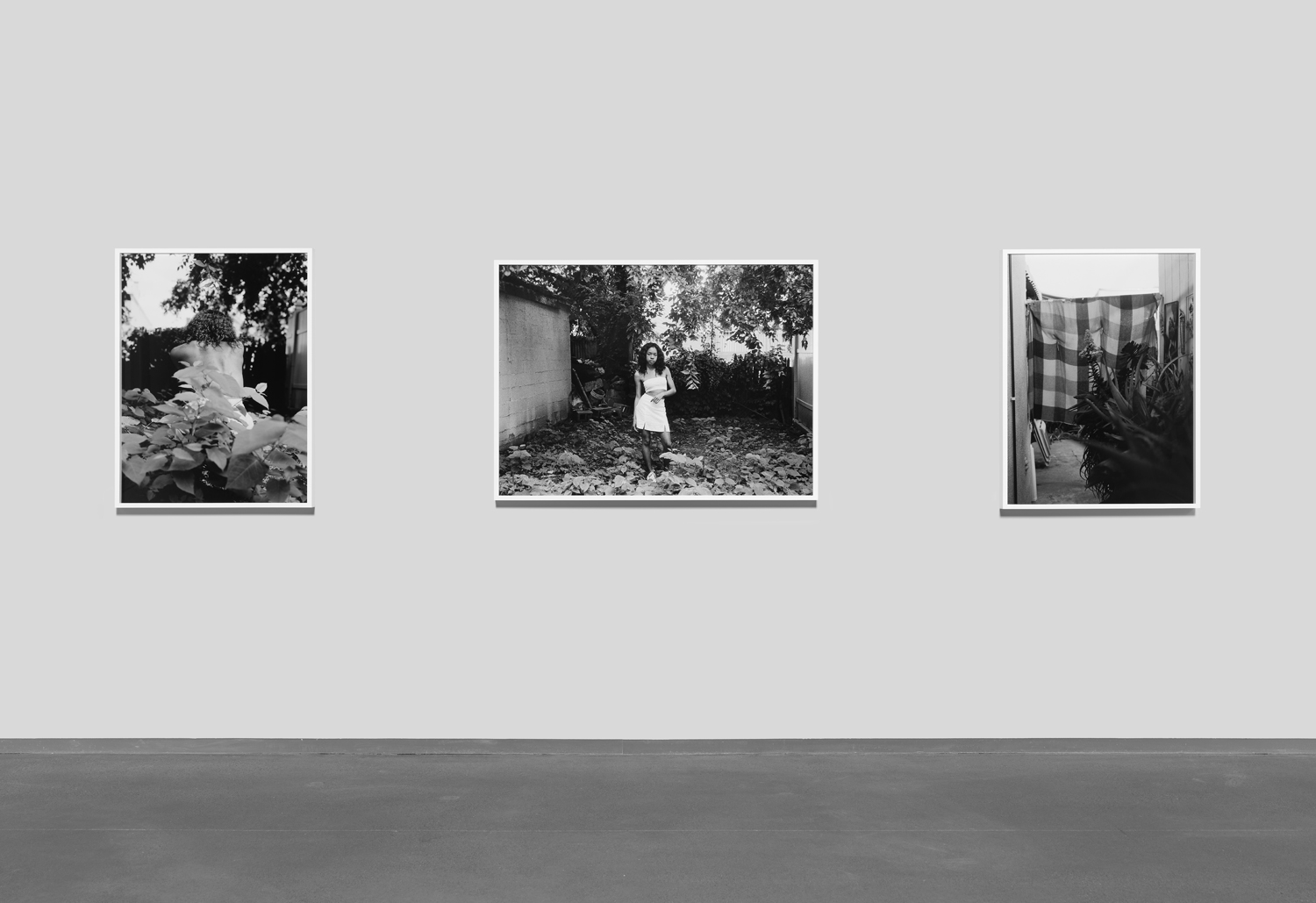 Three large framed black-and-white photos of leafy outdoor scenes