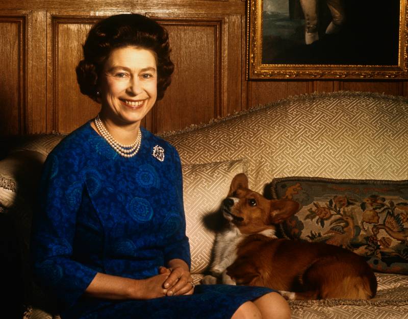 The queen sits smiling broadly, hands clasped in her lap, as a corgi dog gazes up at her.