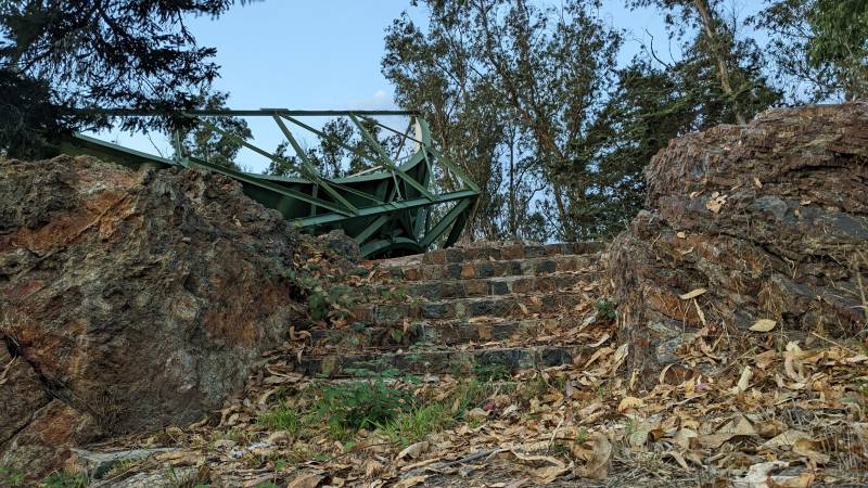 An old set of stone stairs hidden under leaves and overgrowth.
