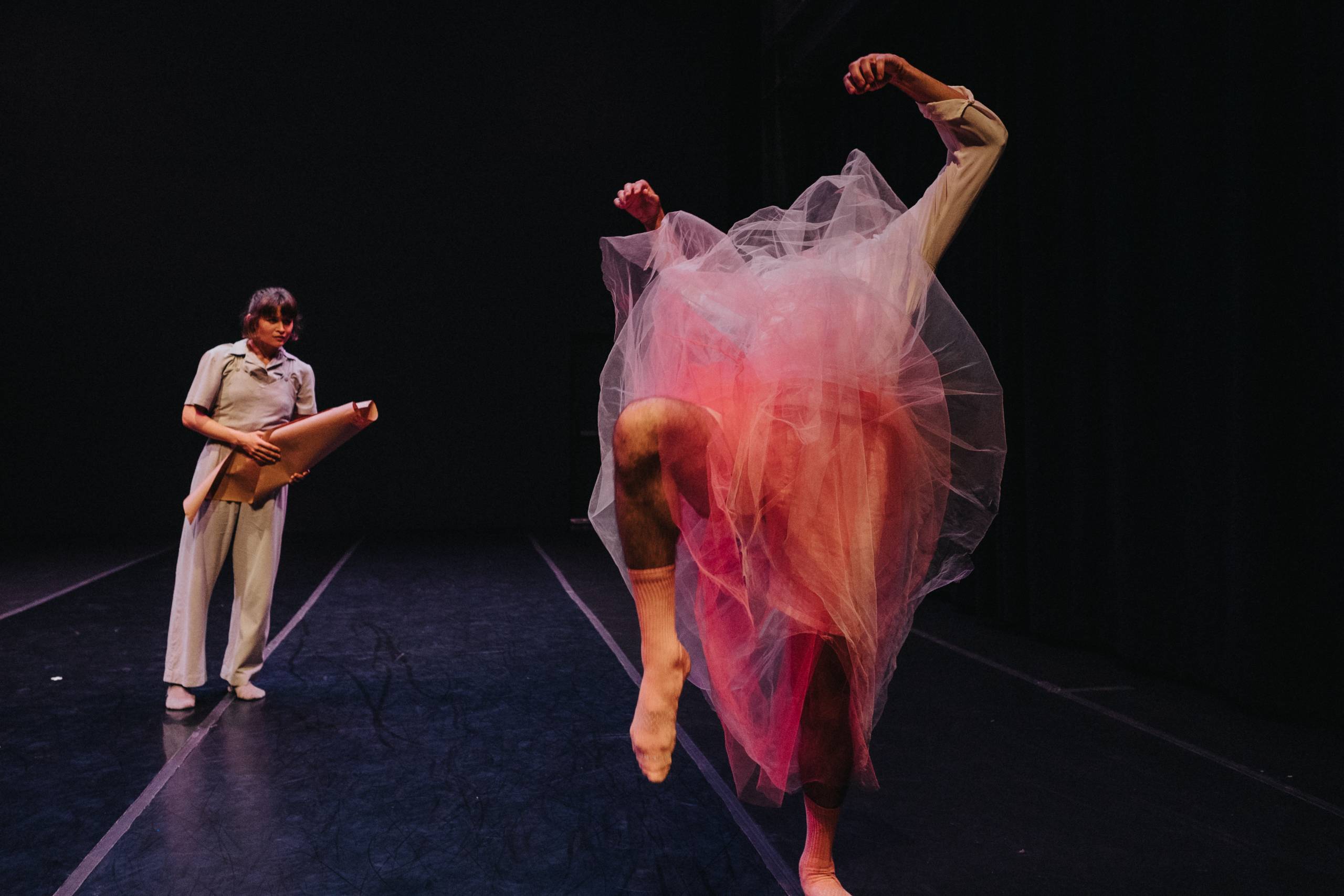 Artist in pink tulle is dancing on stage in front of another performer who is watching them