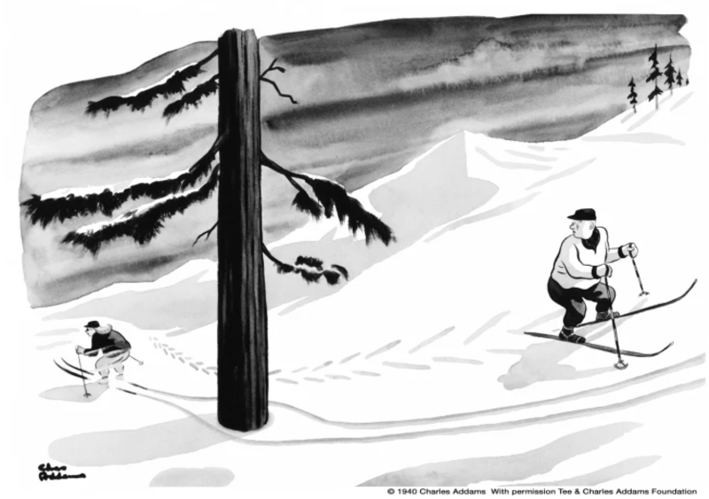 In a cartoon strip, one skier looks back confused at another skier who has seemingly passed through a tree.