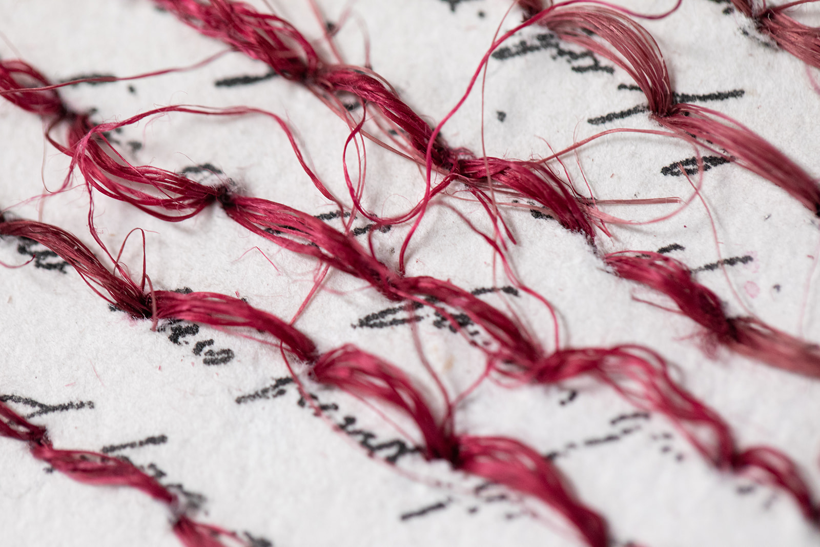 Close-up view of dark red thread sewn through lines of cursive text