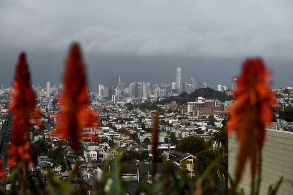 Red flowers out of focus in foreground, downtown San Francisco in background under gray skies