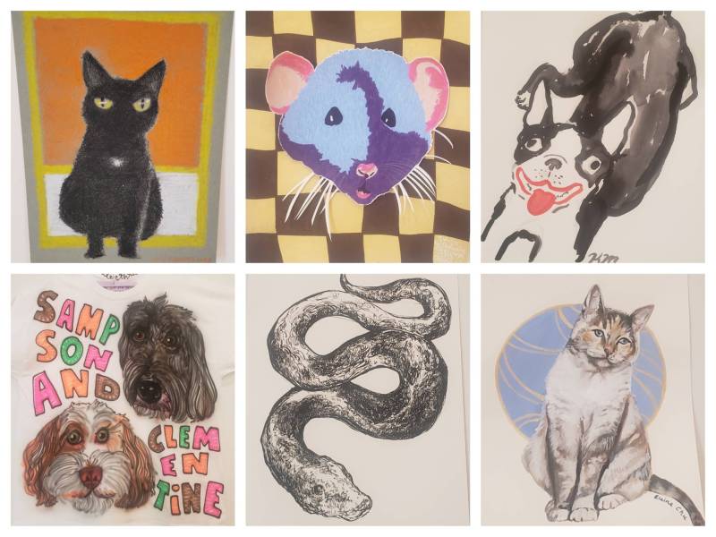 Portraits in a variety of styles from cartoonish to realistic of two cats, three dogs, a rat and a snake.