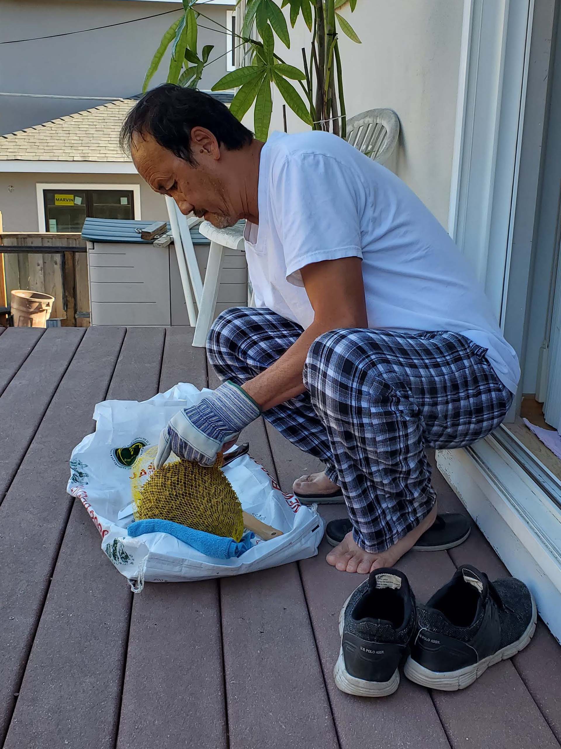 A man sits in his doorway wearing protective gloves as he prepares to open a durian.
