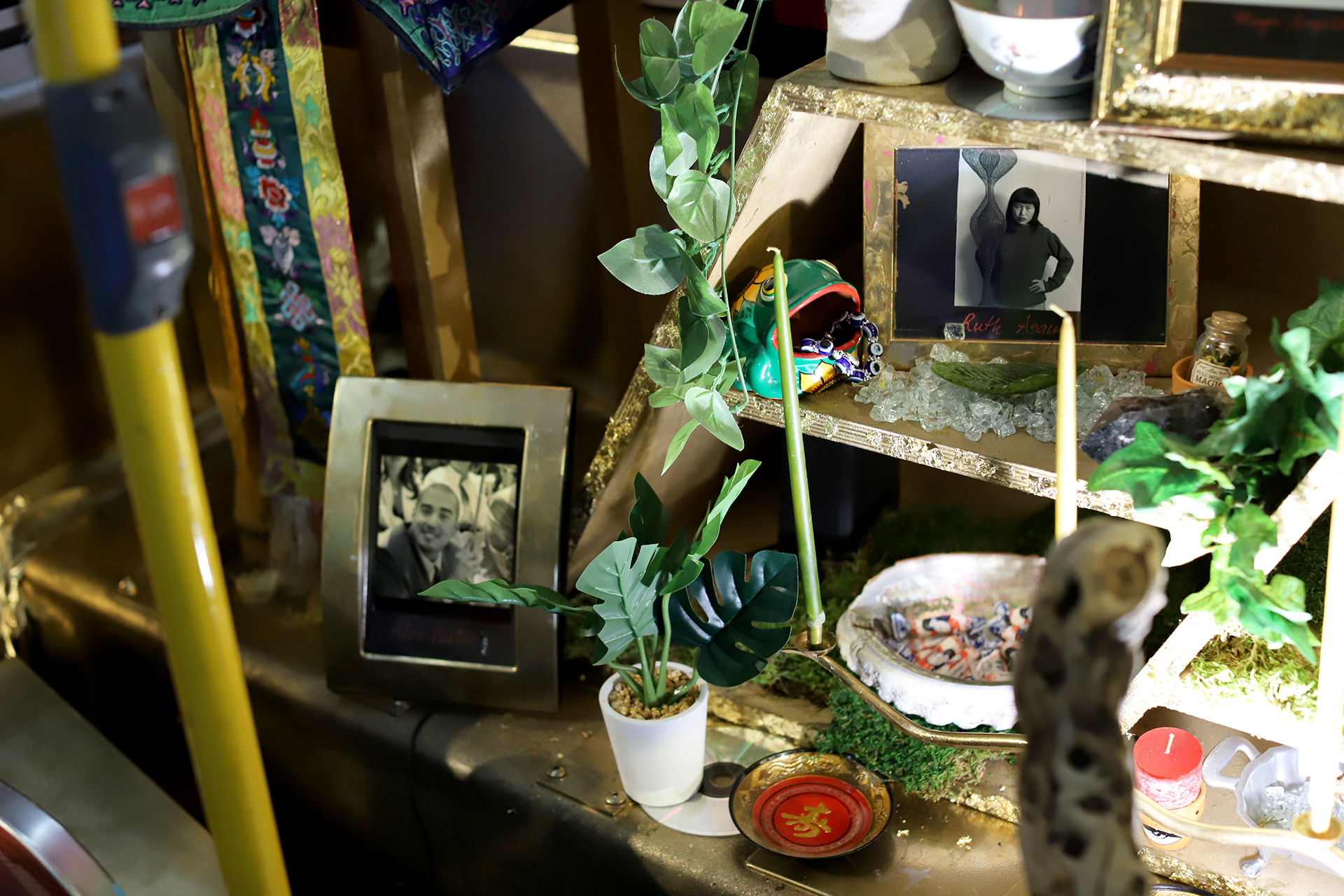 Close-up view of plants and photographs in altar arrangement