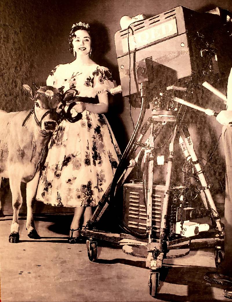 A model wearing a 1950s-style gown stands, smiling broadly, in front of a TV camera. At her side is a calf.