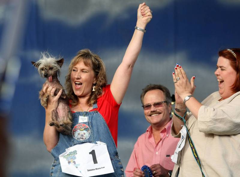 A woman holds up a small, mostly bald dog while raising her other arm triumphantly. A man and a woman stand nearby smiling and clapping.