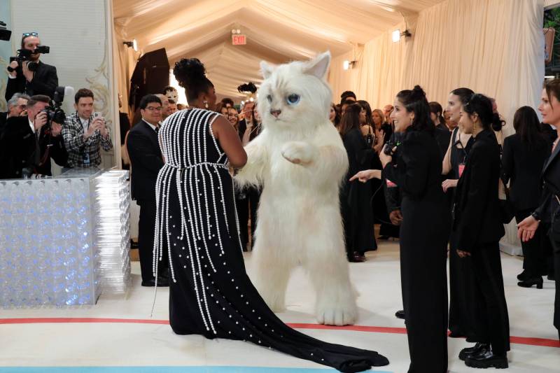 A plus-sized Black woman in a full-length black gown covered in strings of white pearls stands on a busy red carpet talking to someone in a giant fluffy cat costume.