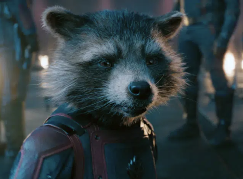 A CGI raccoon standing on its hind legs, wearing a leather flight suit.