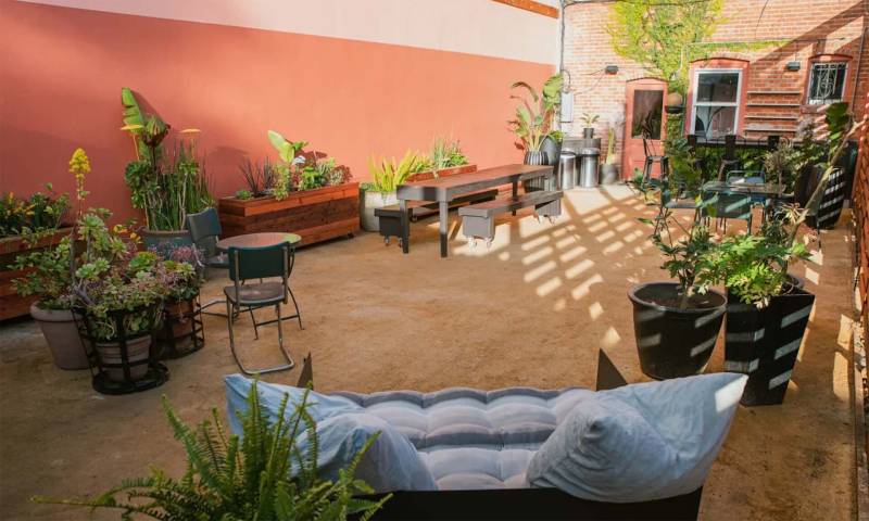 an outdoor patio in Oakland with Mexican cacti and warm colors