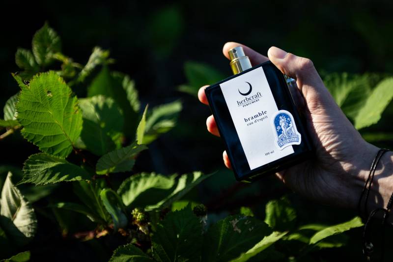 A hand holds a black rectangle perfume bottle titled bramble. In the background is green leaves. 