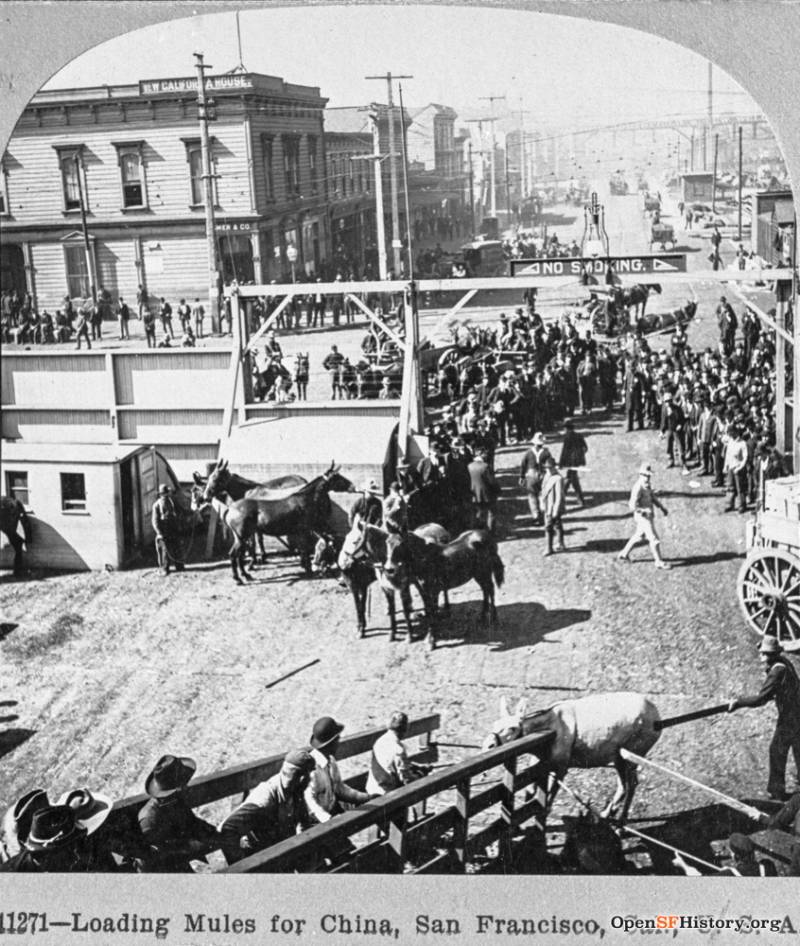 An historical image of crowds of men gathered with mules on a busy corner. Behind them is a city block of wooden structures and shops.