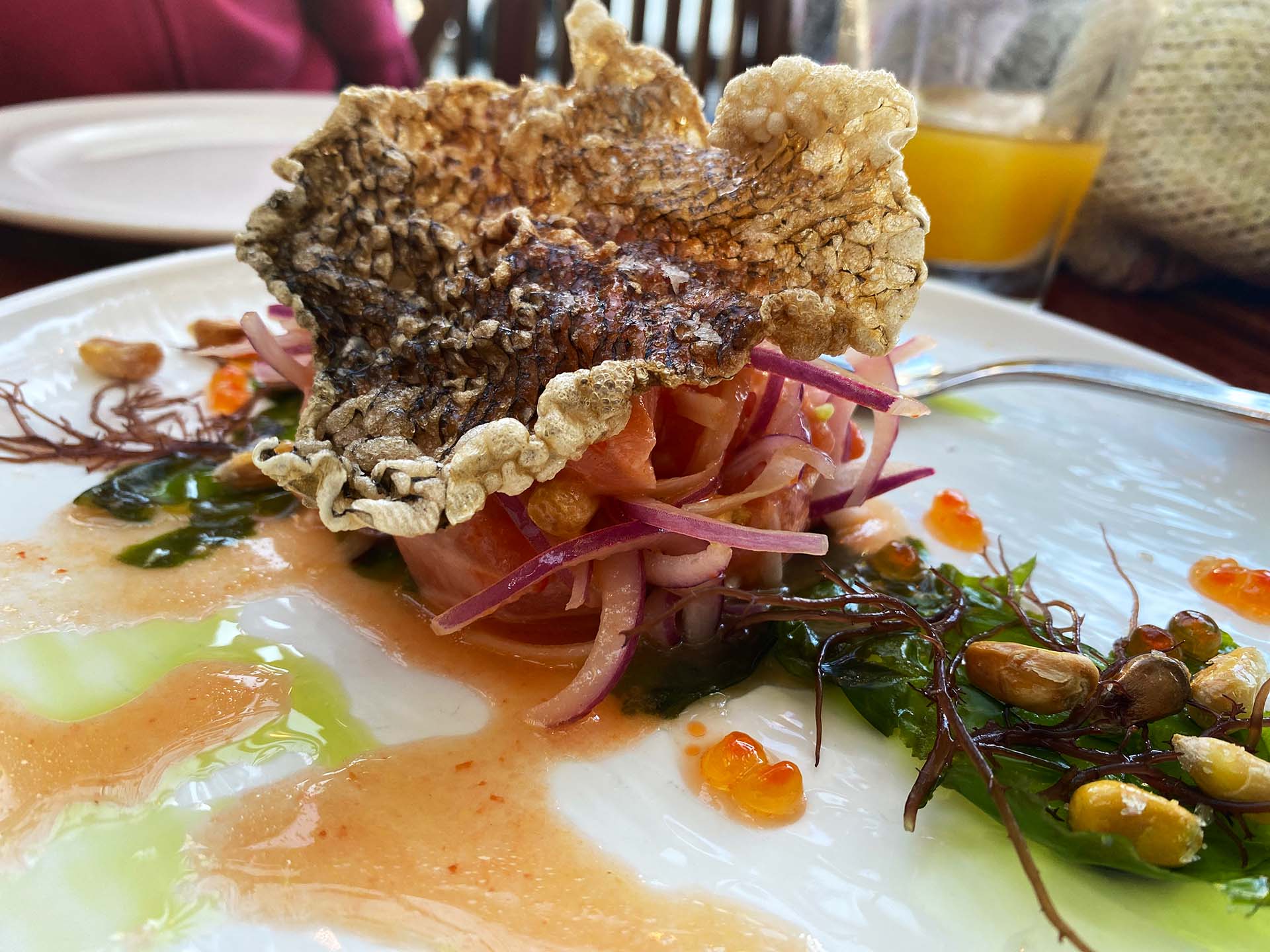 An elegantly plated Peruvian cebiche: raw fish topped with a crinkled piece of fried trout skin, with trout roe and assorted seaweeds arranged on the plate.