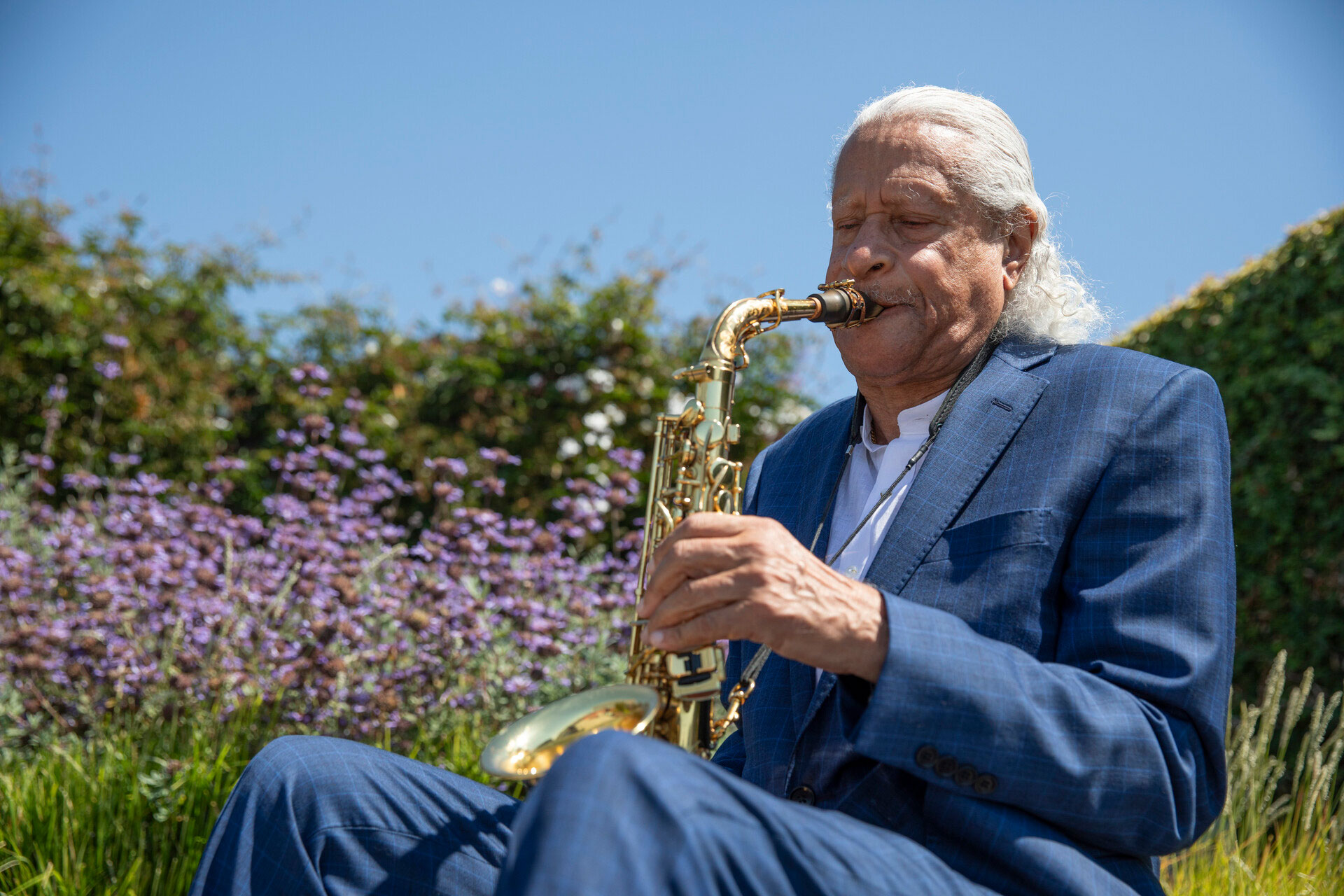 A man with white hair and a blue suit plays alto saxophone with foliage in the background.
